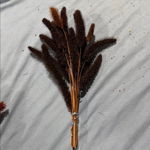 Other - Dried Brown Foxtail Grass Bundle - Rustic Home Décor